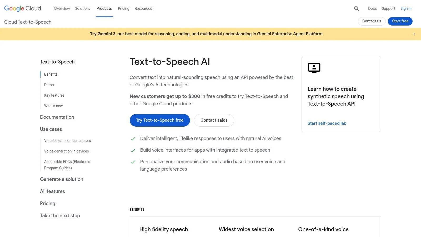 Google Cloud Text-to-Speech (incl. Gemini-TTS)